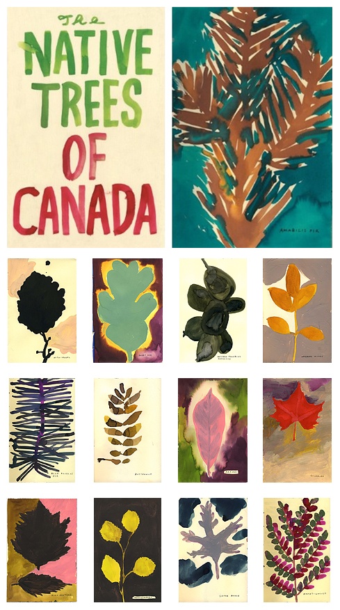 Leanne Shapton_Book Cover - Native Trees of Canada